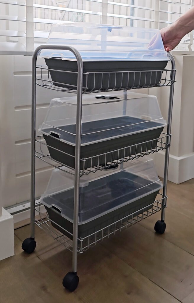 voorzaaien in huis met kweekbakken